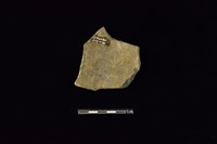 陶片藏品圖，第2張